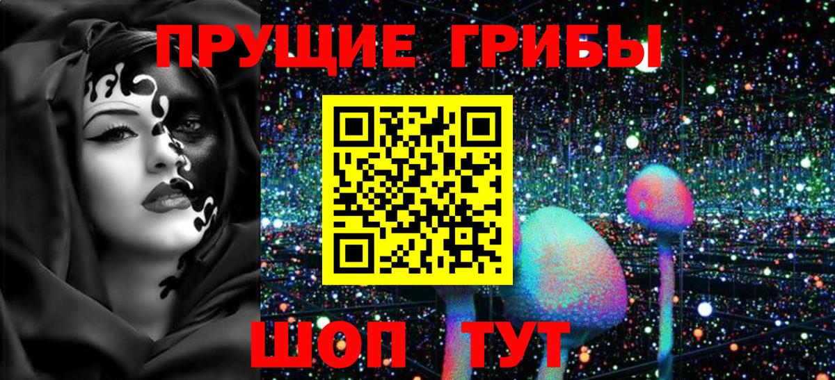 Галлюциногенные грибы Cubensis  Вход с VPN  Холмск 